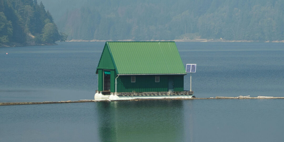 casa verde nel lago